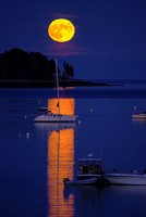Hunter's Moon