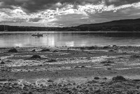 Low Tide